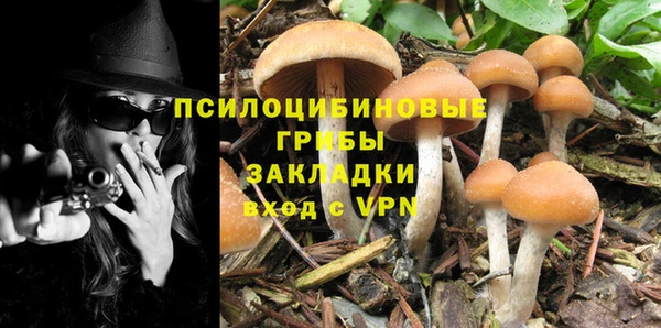 apvp Покров